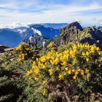 What to visit and eat in Madeira